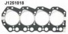 NIPPARTS J1251018 Gasket, cylinder head